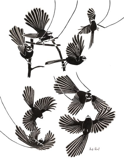 The Acrobatic Fantail - 4 Cards